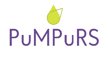 Balvu novada pašvaldībā turpinās projekts PuMPuRS