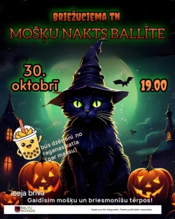 Attēlā redzams melns kaķis ar raganas cepuri, ķirbji.