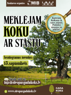 Attēlā redzams informatīvs plakāts par konkursu “Meklējam koku ar stāstu”. Fonā ir liels, vecs ozols zaļā pļavā zem gaišām debesīm. Plakāta augšpusē redzami organizatoru logotipi. Lieliem burtiem rakstīts konkursa nosaukums, bet palielināmā stikla attēlā ir aicinājums: “Katram kokam ir savs stāsts. Palīdzi mums to atklāt!”