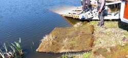 Enkura svars ir gandrīz 100 kg (foto).