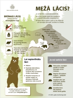 Infografika par lāci mežā.