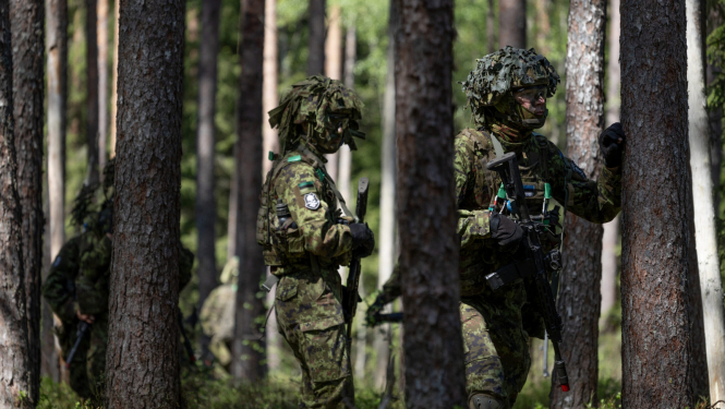 Mežā redzami vairāki karavīri maskēšanās formās un ķiverēs. Viņi pārvietojas starp kokiem, rokās turot ieročus, iespējams, militāro mācību laikā.