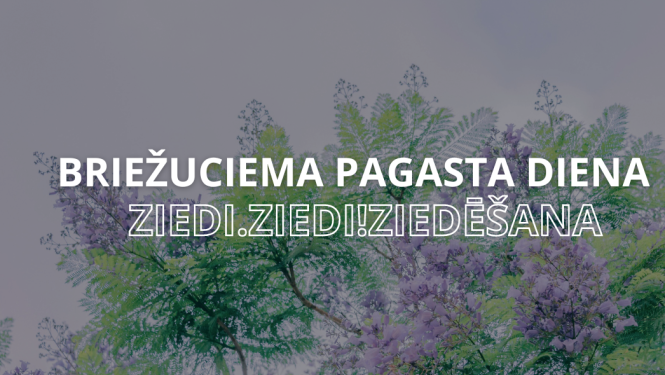 Briežuciema pagasta diena "Ziedi.Ziedi! Ziedēšana''