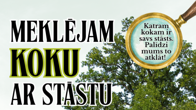 Attēlā redzams informatīvs plakāts par konkursu “Meklējam koku ar stāstu”. Fonā ir liels, vecs ozols zaļā pļavā zem gaišām debesīm. Plakāta augšpusē redzami organizatoru logotipi. Lieliem burtiem rakstīts konkursa nosaukums, bet palielināmā stikla attēlā ir aicinājums: “Katram kokam ir savs stāsts. Palīdzi mums to atklāt!”