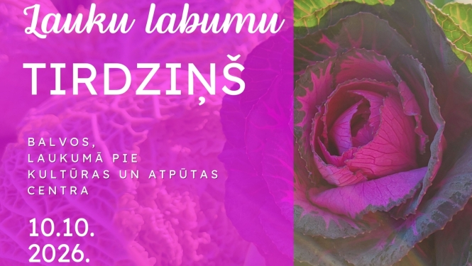rozā fons, redzama roze.