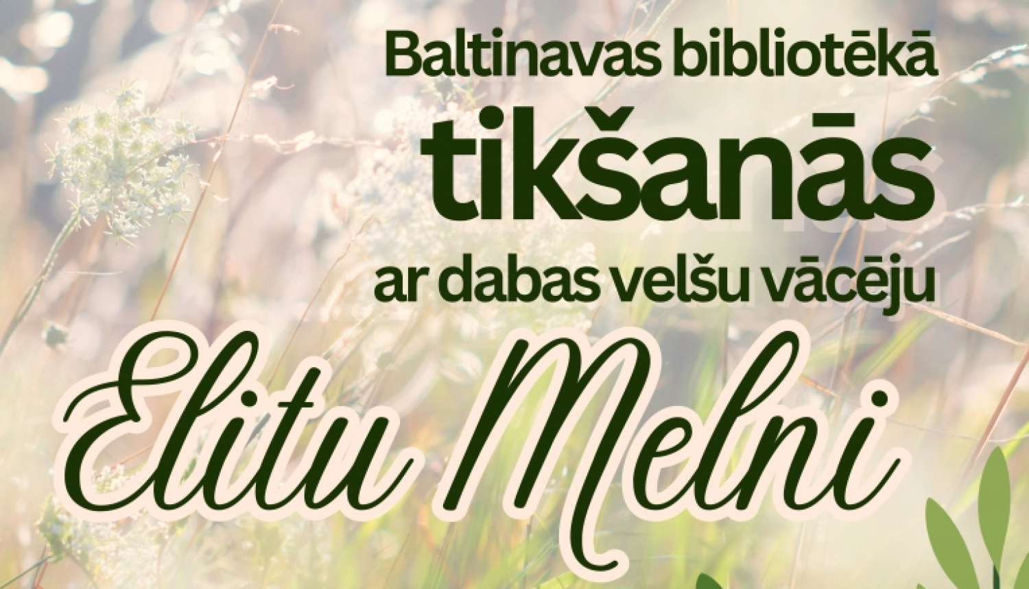 AFIŠA_Tikšanās ar dabas velšu vācēju Elitu Melni