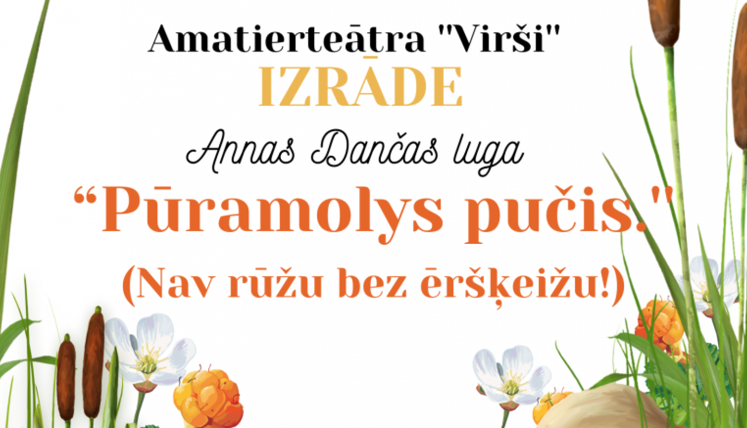 AFIŠA_Amatierteātra izrāde ''Pūramolys pučis''