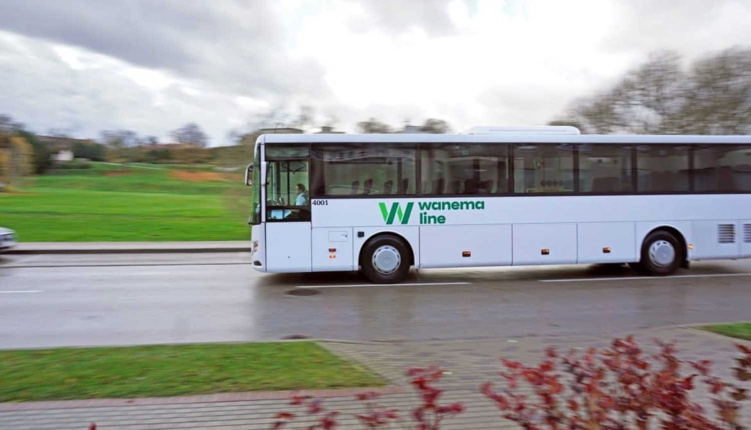Balts "Wanema line" pasažieru autobuss brauc pa slapju ceļu garām zaļam zālienam un pakalniem mākoņainā dienā.