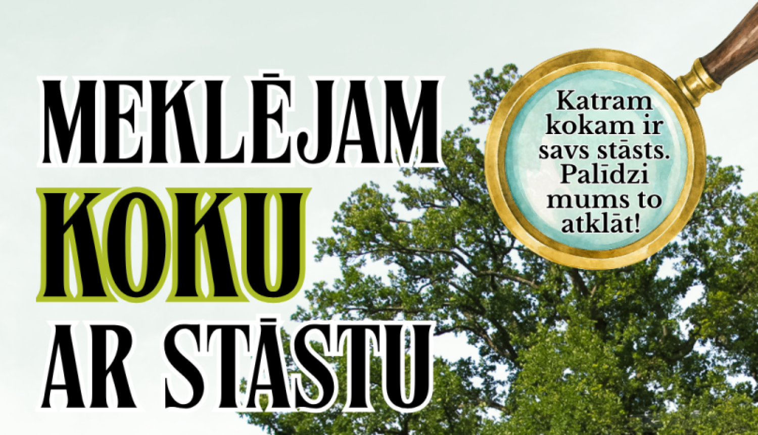 Attēlā redzams informatīvs plakāts par konkursu “Meklējam koku ar stāstu”. Fonā ir liels, vecs ozols zaļā pļavā zem gaišām debesīm. Plakāta augšpusē redzami organizatoru logotipi. Lieliem burtiem rakstīts konkursa nosaukums, bet palielināmā stikla attēlā ir aicinājums: “Katram kokam ir savs stāsts. Palīdzi mums to atklāt!”