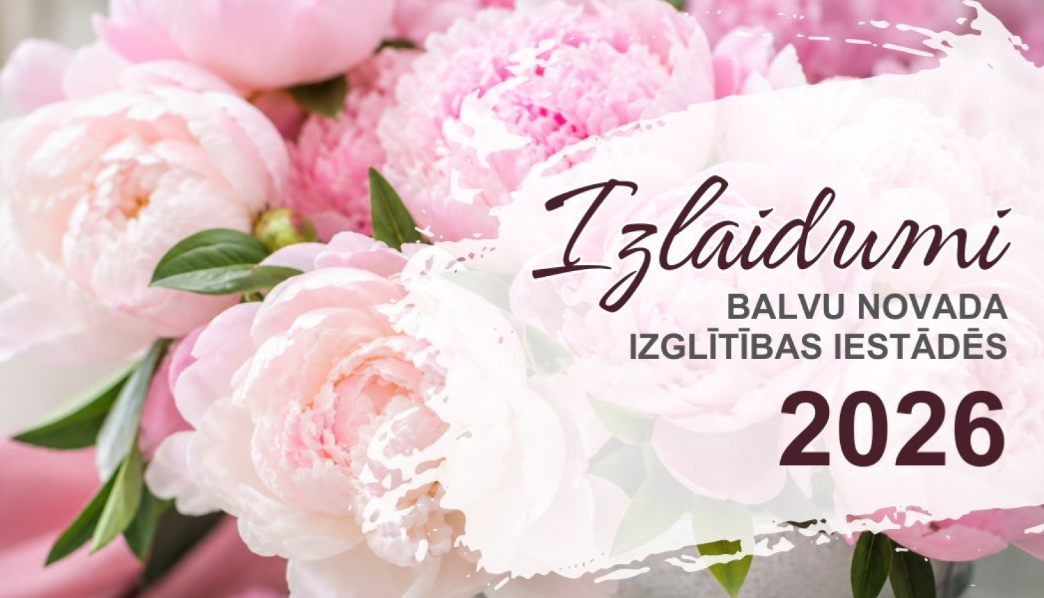 Attēlā redzamas gaiši rozā peonijas. Teksts vēsta par izlaidumiem Balvu novada izglītības iestādēs 2026. gadā