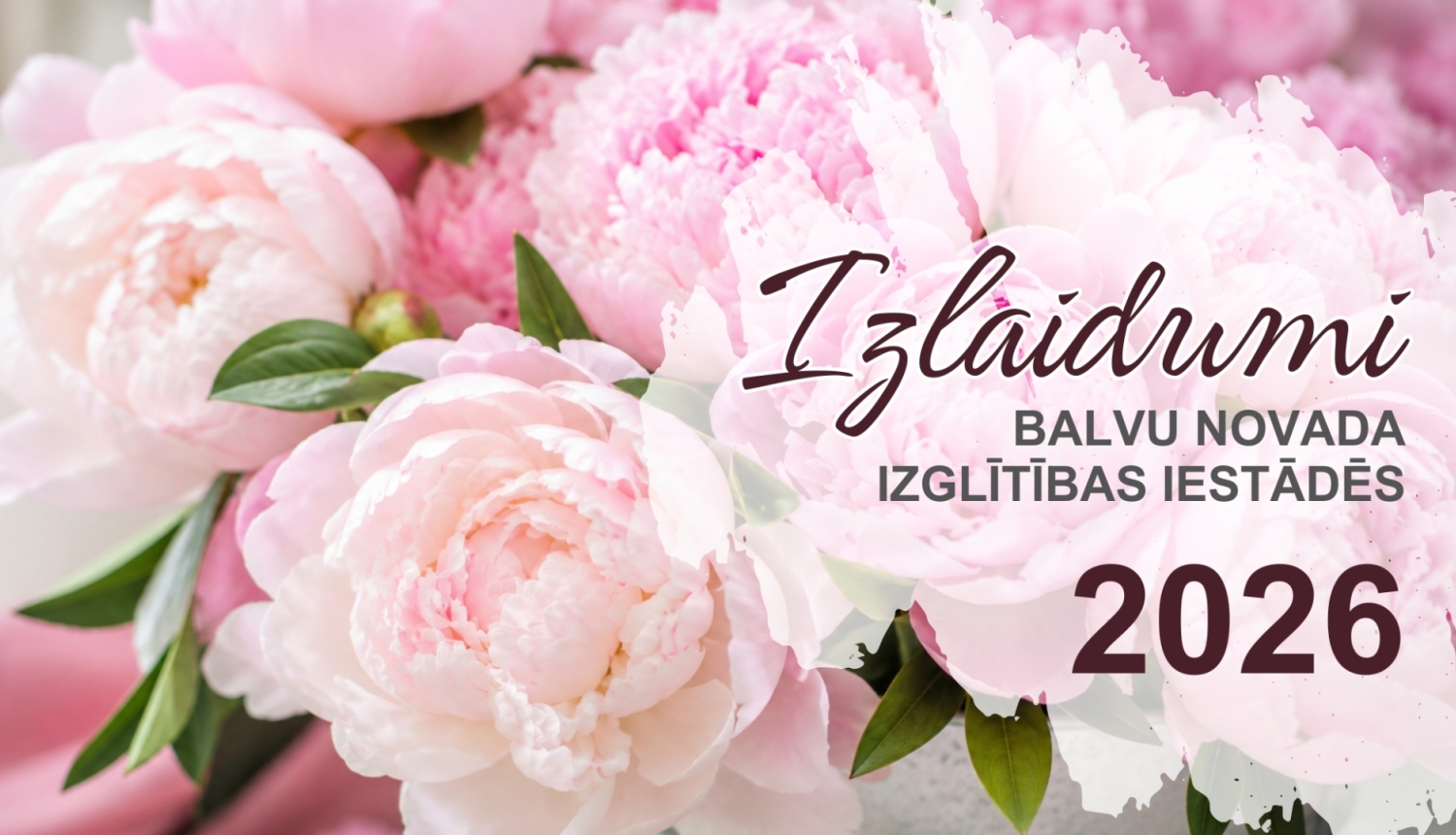 Attēlā redzamas gaiši rozā peonijas. Teksts vēsta par izlaidumiem Balvu novada izglītības iestādēs 2026. gadā