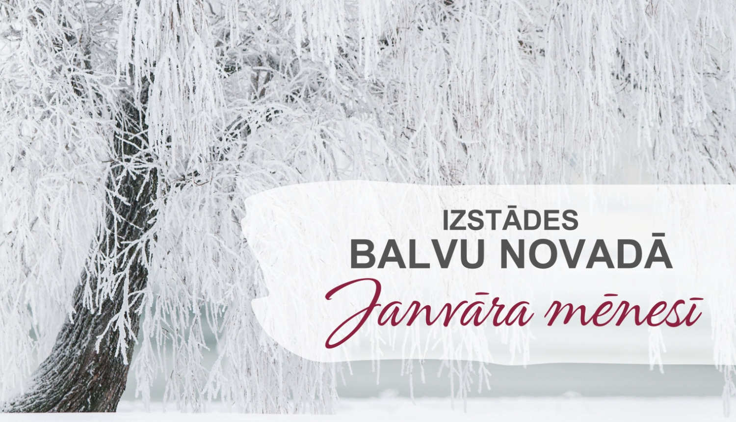Izstādes Balvu novadā| JANVĀRIS