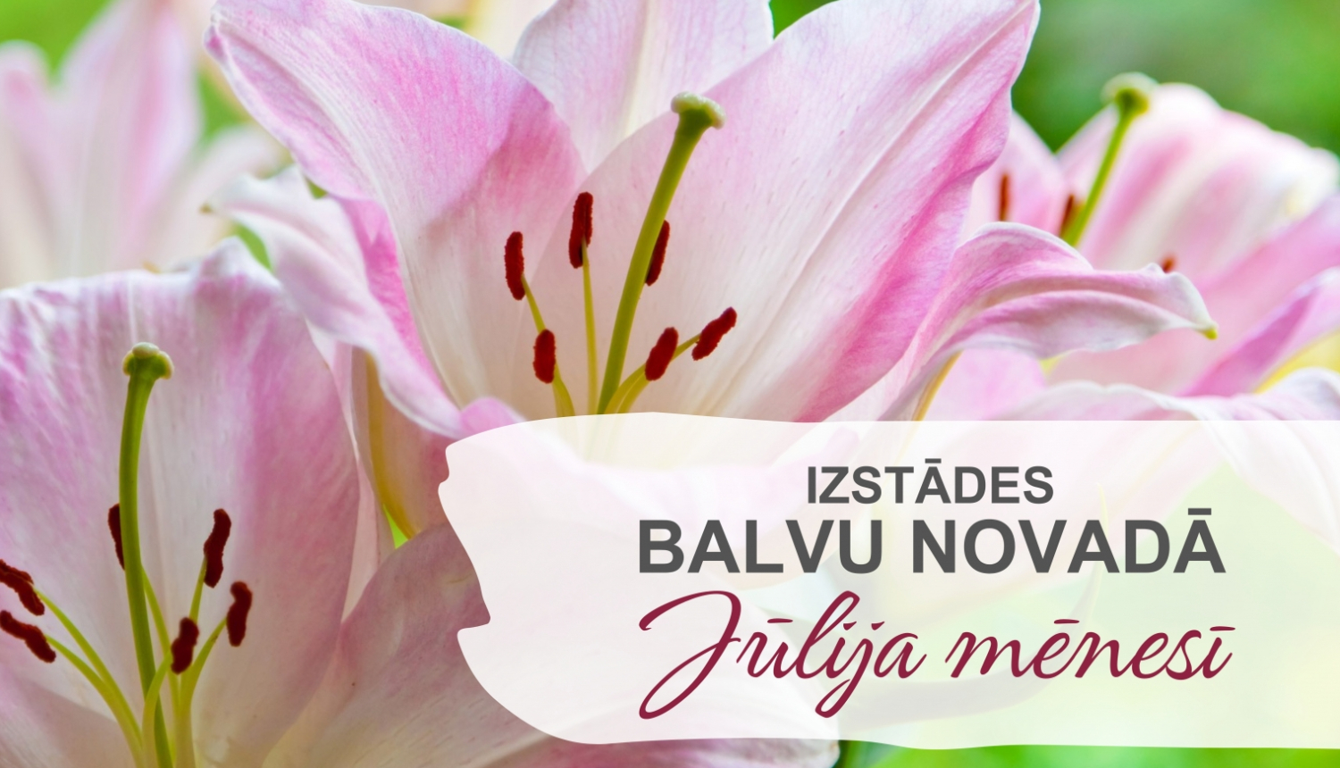 Izstādes Balvu novadā| JŪLIJS