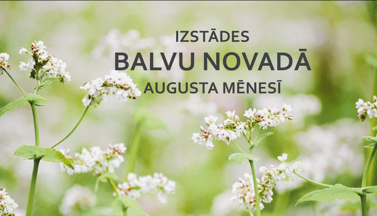 Izstādes augustā