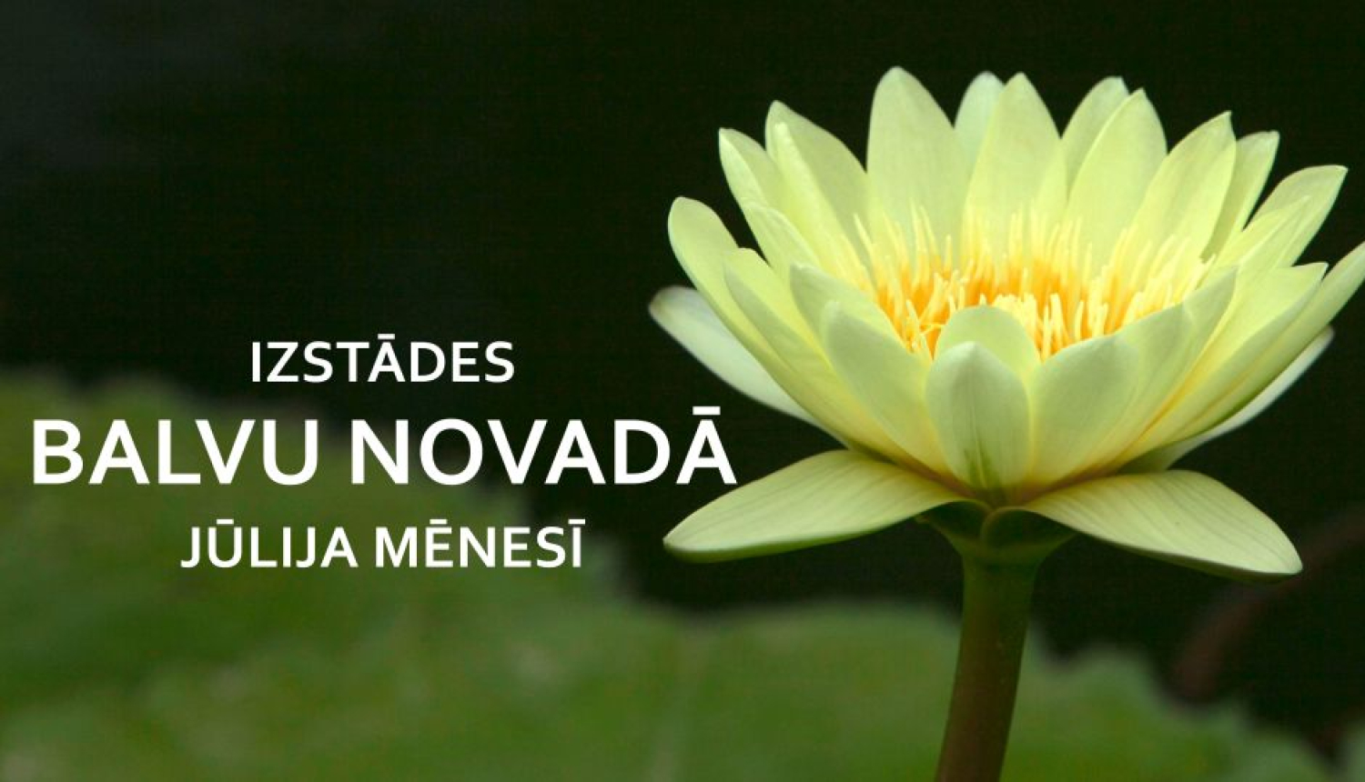 Izstādes jūlija mēnesī