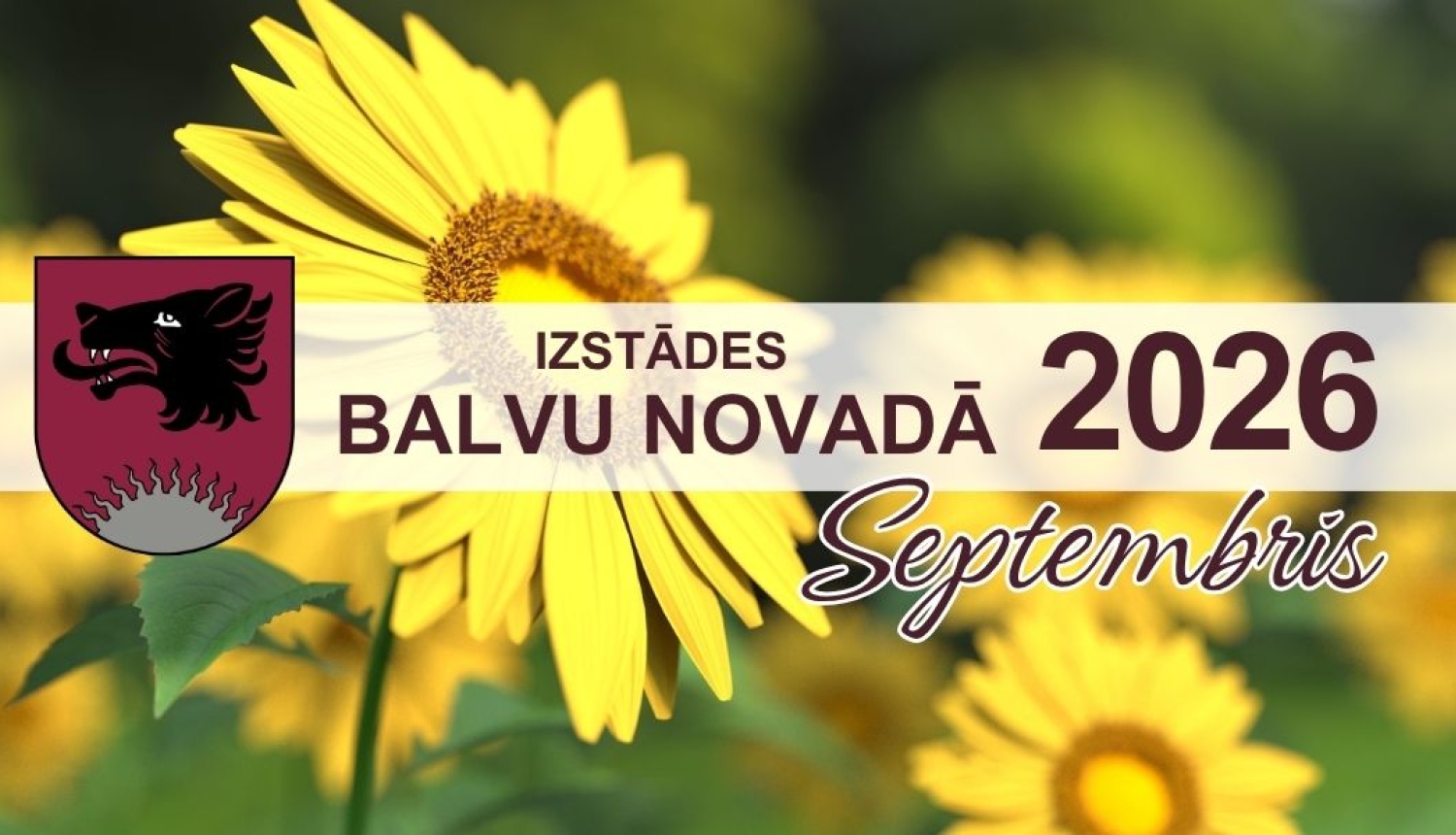 Attēlā redzamas saulespuķes un teksts, kas vēsta par izstādēm Balvu novadā.