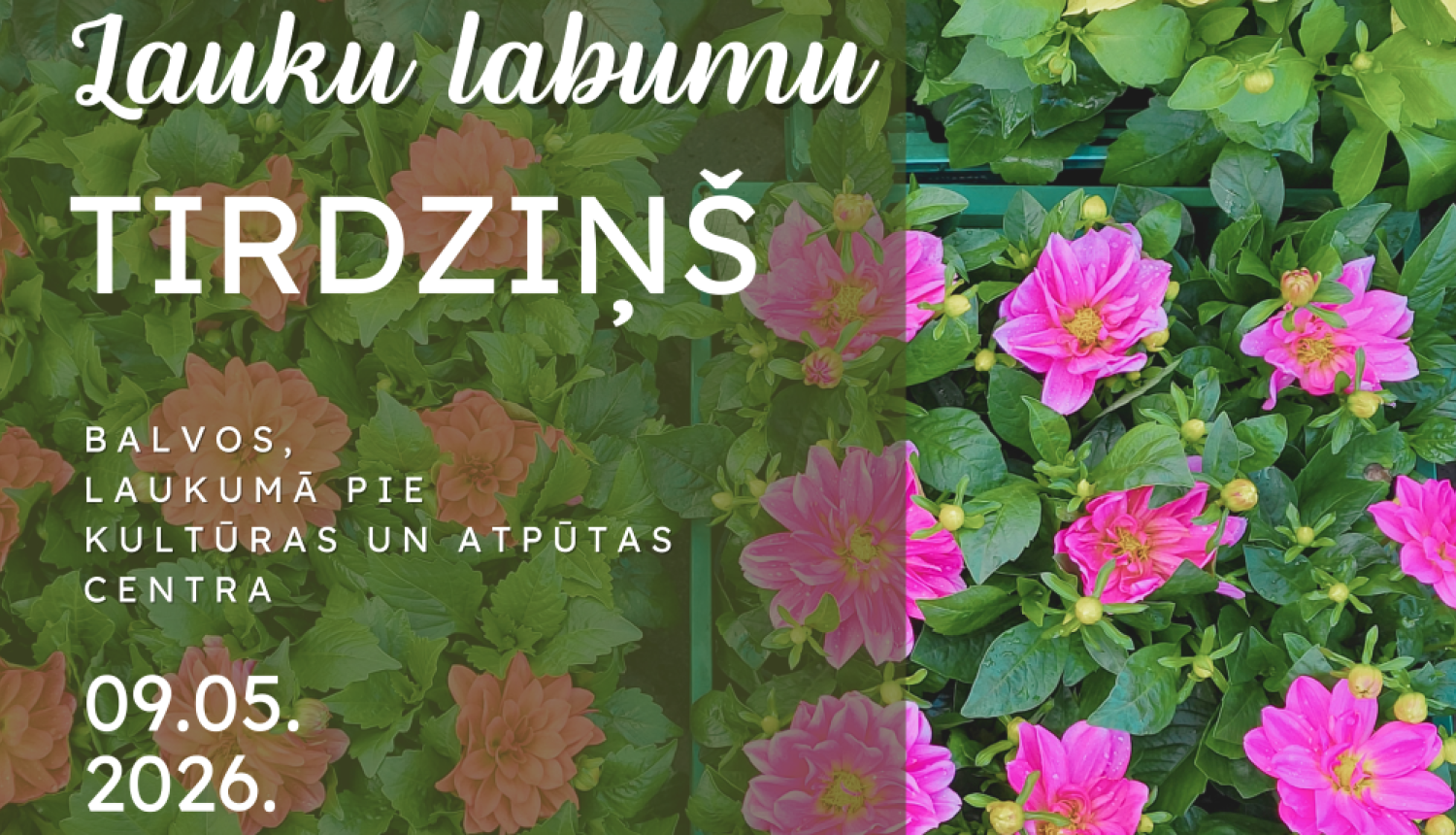 Attēlā redzama krāsaina afiša ar ziedošiem dārza ziediem (rozā, dzelteni un persiku toņos) uz zaļa lapu fona. Uz tās rakstīts: “Lauku labumu tirdziņš”, norādīta vieta – Balvos, laukumā pie Kultūras un atpūtas centra – un datums: 09.05.2026.