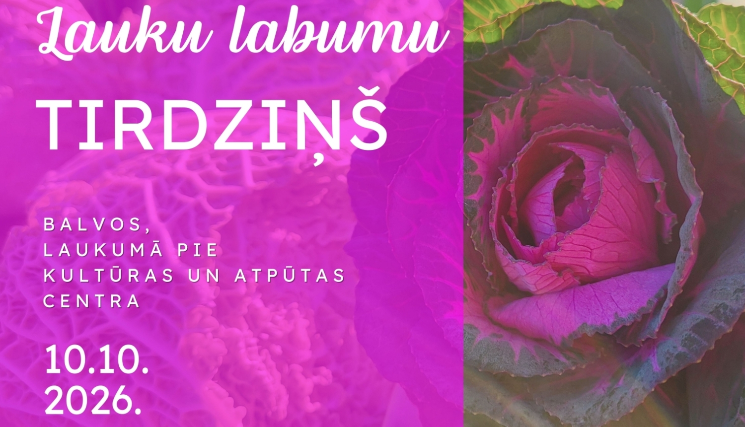 rozā fons, redzama roze.