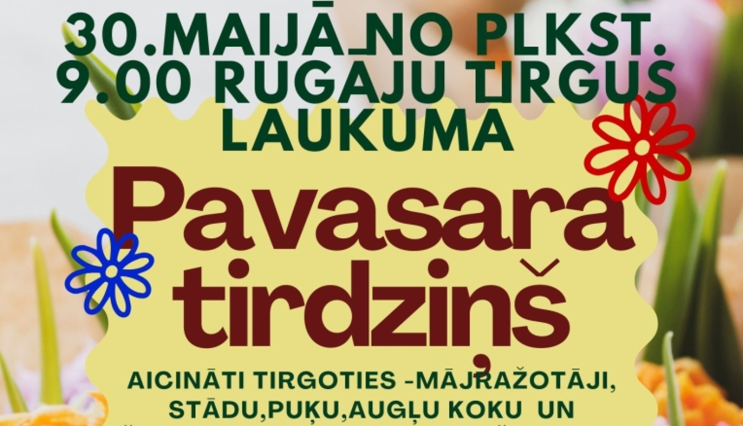 Attēlā redzams pavasara tirdziņa plakāts latviešu valodā. Tajā norādīts, ka 30. maijā plkst. 9:00 Rūgāju tirgus laukumā notiks "Pavasara tirdziņš". Aicināti piedalīties mājražotāji, stādu, puķu, augļu koku un košumkrūmu audzētāji, kā arī pašgatavotu lietu tirgotāji. Plakātu rotā krāsaini ziedi un zīmēta tirgus stenda ilustrācija.