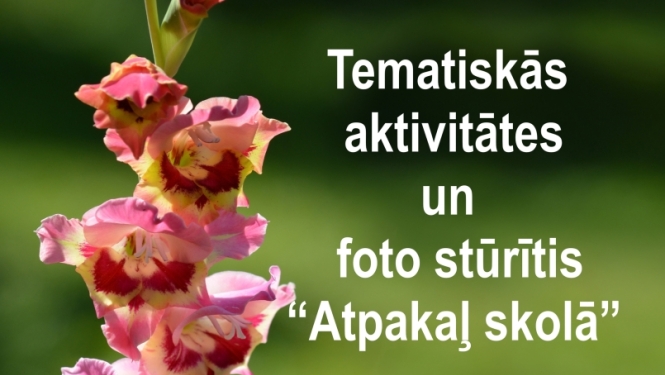 Uz zaļa fona redzama rozā gladiola. Redzams Balvu novada muzejs un teksts aicina uz tematiskām aktivitātēm un foto stūrīti "Atpakaļ skolā".