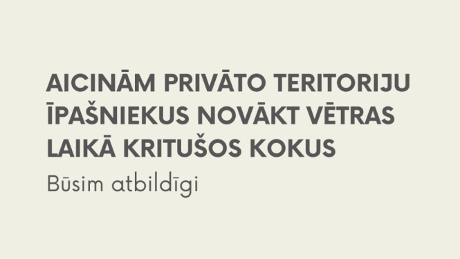 Balvu novada pašvaldības paziņojums "AICINĀM PRIVĀTO TERITORIJU ĪPAŠNIEKUS NOVĀKT VĒTRAS LAIKĀ KRITUŠOS KOKUS. Būsim atbildīgi". Augšējā labajā stūrī redzams novada ģerbonis un logotips.