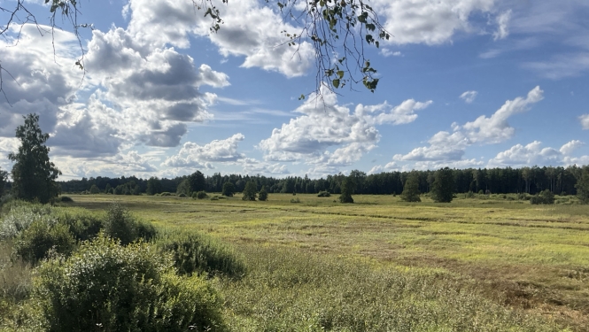 Attēlā redzama pļava.