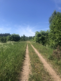 Lauku ceļš