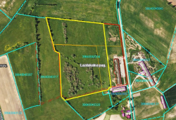 3864 004 0304 daļa 8,90 ha platībā