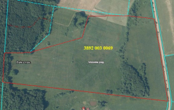 3892 003 0069 daļa 11,6 ha platībā