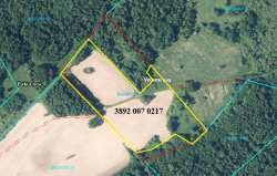 3892 007 0217 daļa 3,10 ha platībā