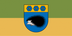 Viļakas pilsētas karogs