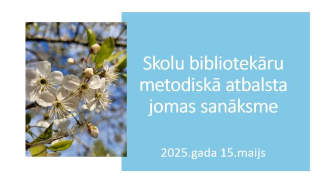Balvu novada skolu bibliotekāri tiekas tiešsaistē sanāksmē