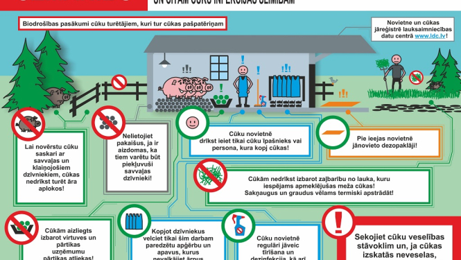 Balvu novada Kubulu pagastā, kādā mājas cūku novietnē, konstatēts saslimšanas gadījums ar Āfrikas cūku mēri