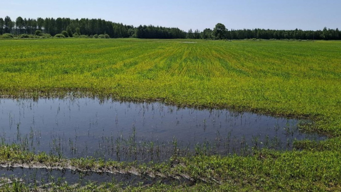Ministrs un novada vadība meklē risinājumus lauksaimnieku atbalstam