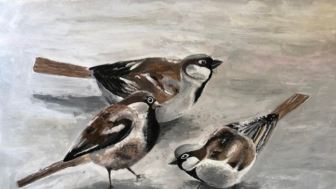 Noslēdzies radošo darbu konkurss “Putni”