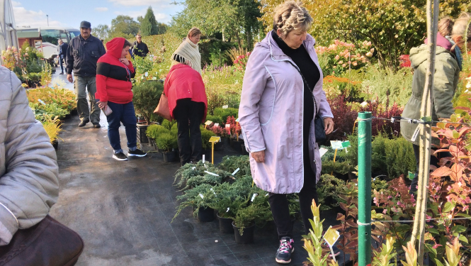 Ir vērtīgi ne tikai darīt interesantas un labas lietas pie sevis mājās,bet arī paskatīties, kā dzīvo kaimiņi