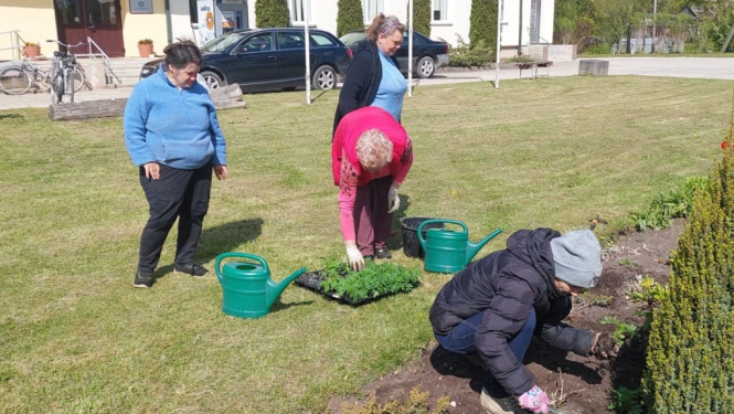 Baltinavas apvienības pārvaldē priecē pašu audzētie puķu stādi
