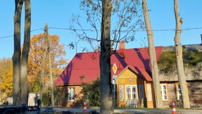 Izzāģē kokus, lai mazinātu krauķu izplatību