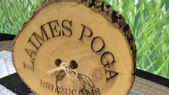 Briežuciema pagasta svētki „Piepogā sevi Briežuciemam’’