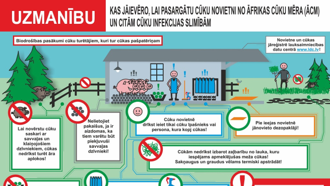 Balvu novada Kubulu pagastā, kādā mājas cūku novietnē, konstatēts saslimšanas gadījums ar Āfrikas cūku mēri