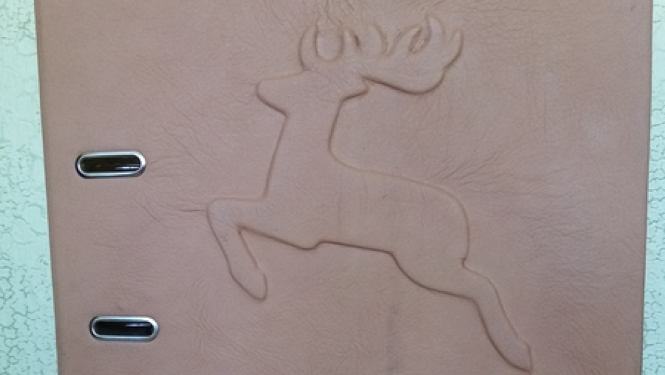 Briežuciemam sava pavasara grāmata