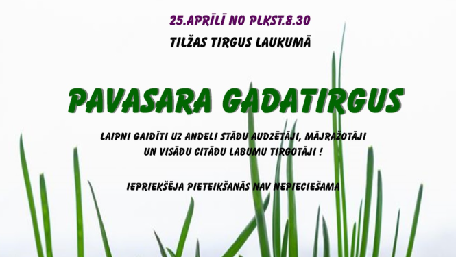 Gaiši pelēks fons ar attēlā redzamiem zaļiem zāles stiebriem. Uz šī fona izvietots teksts, kas aicina apmeklēt pavasara gadatirgu Tilžā.