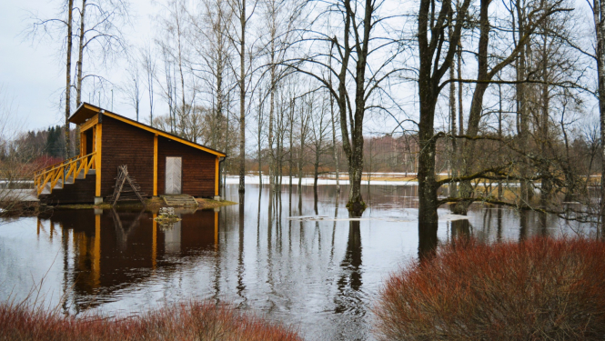 Pavasara pali Rugāju ciemā 2025. gadā