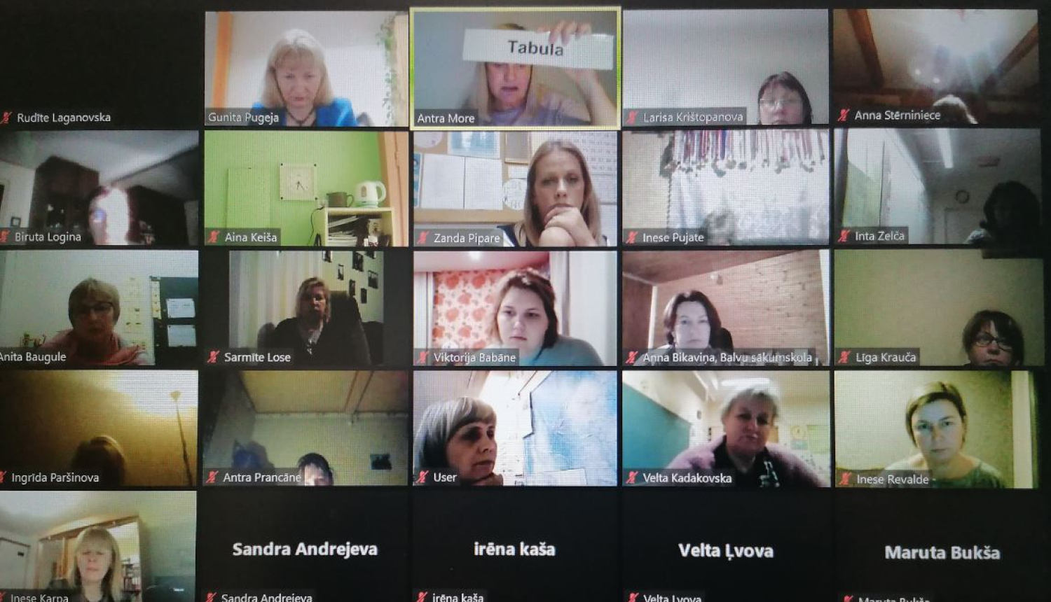 Pedagogu profesionālās kompetences pilnveides programma "Tekstpratības attīstīšana pamatizglītības 1.-3.klasē"