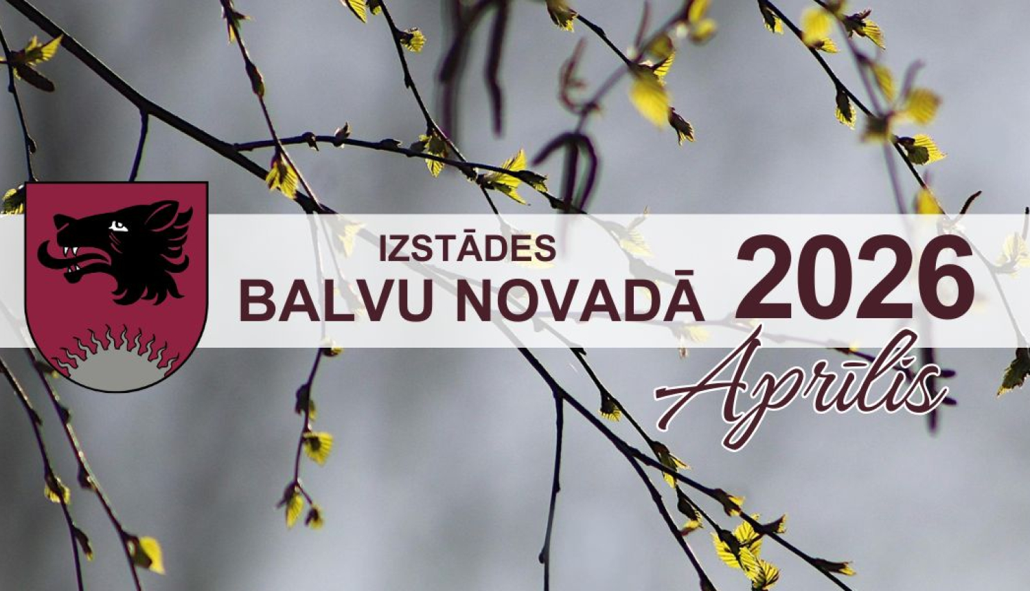 Attēlā ir gaiši pelēks fons, uz kura redzami plaukstoši bērzu zari ar smalkām, gaiši zaļām lapām un teksts: “Izstādes Balvu novadā, aprīlī 2026”.