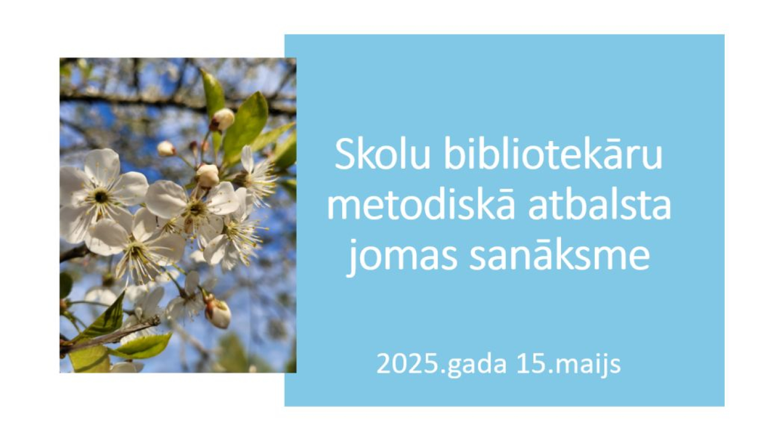 Balvu novada skolu bibliotekāri tiekas tiešsaistē sanāksmē