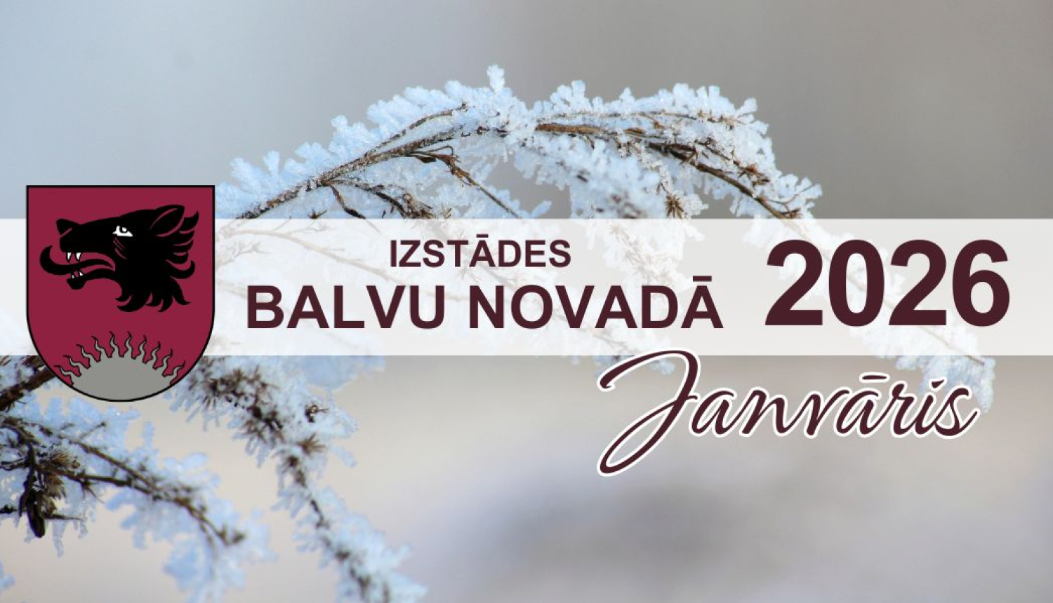 Izstādes Balvu novadā | JANVĀRIS