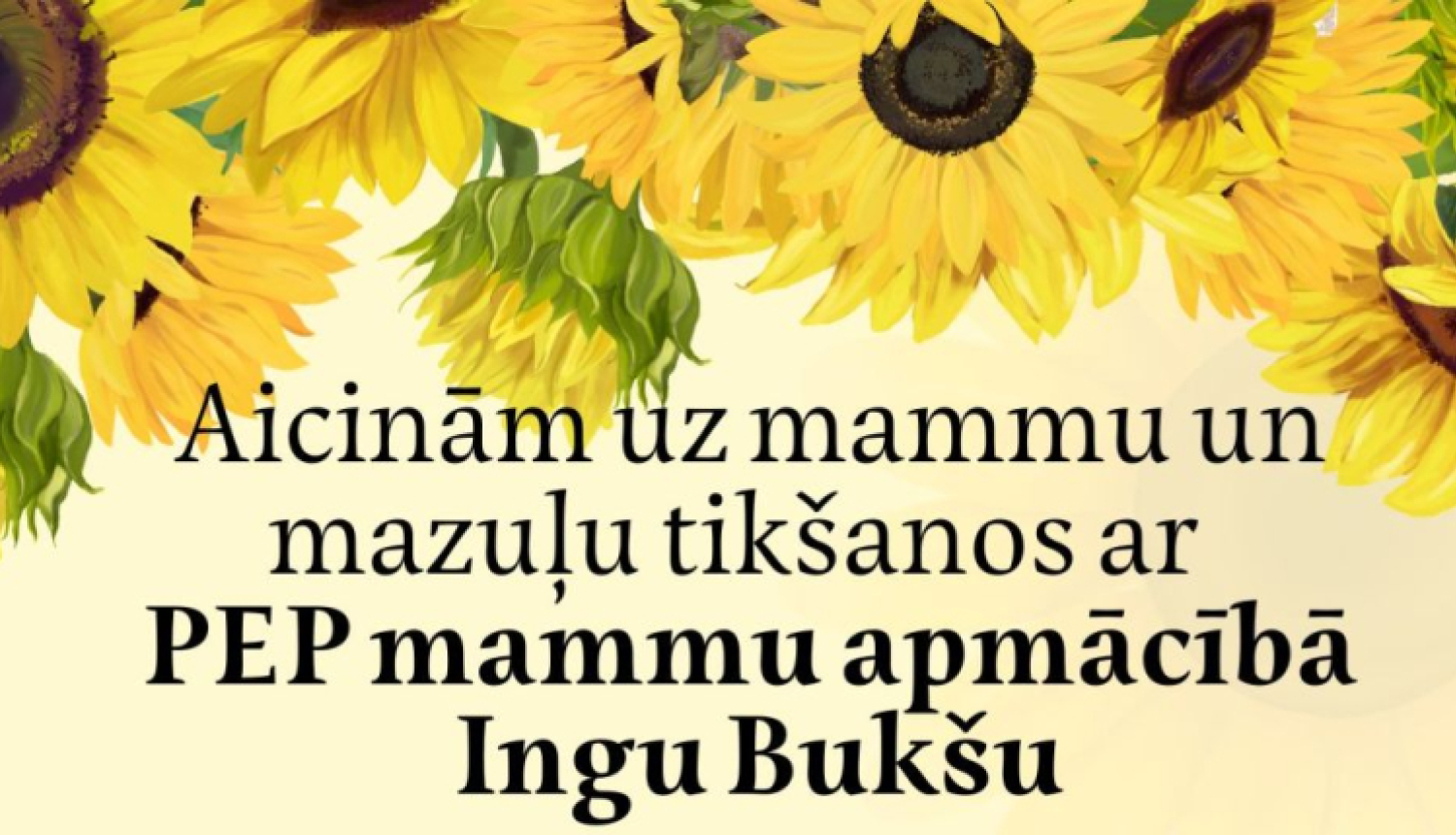 Gaidāma tikšanās ar PEP mammu apmācībā Ingu Bukšu