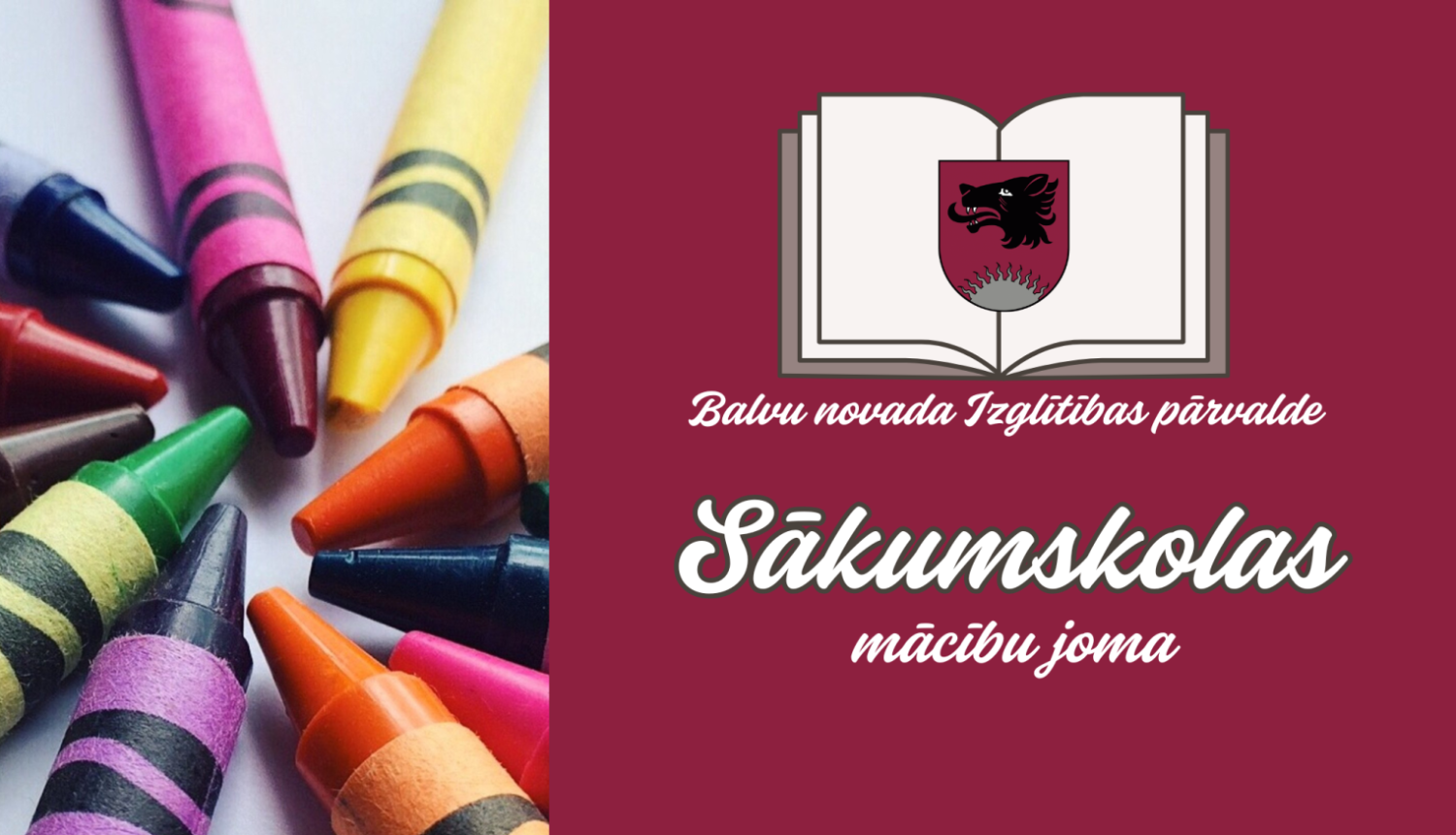 Sākumskolas mācību joma