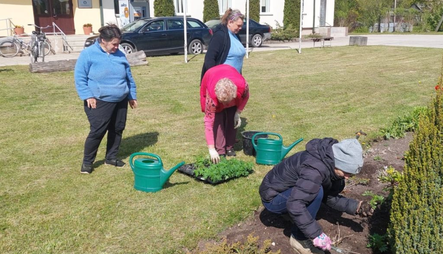 Baltinavas apvienības pārvaldē priecē pašu audzētie puķu stādi